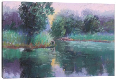 Pond In Ann Arbor Canvas Art Print - Sharon Sunday
