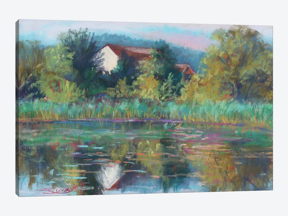 Pond In Dexter by Sharon Sunday 1-piece Canvas Wall Art