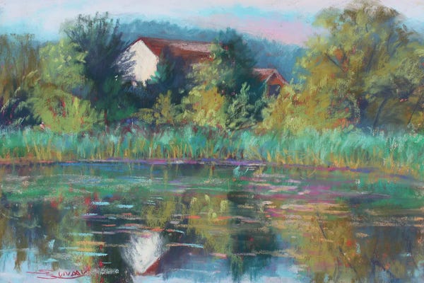 Sharon Sunday: Pond In Dexter by Sharon Sunday