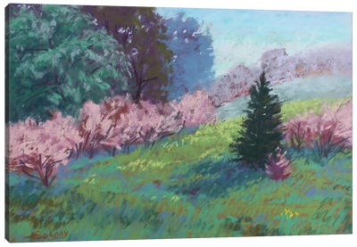 Rolling Hills At Watkins Canvas Art Print - Pops of Pink