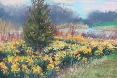 Spring Daffodils by Sharon Sunday art print