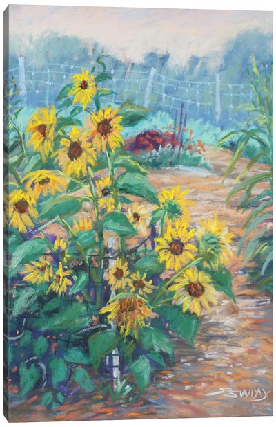 Summer's Dream Canvas Art Print - Sharon Sunday