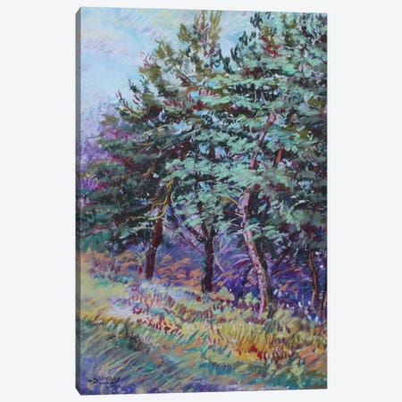 Trees Of Wheaton Rd Canvas Print #SDY80} by Sharon Sunday Canvas Print