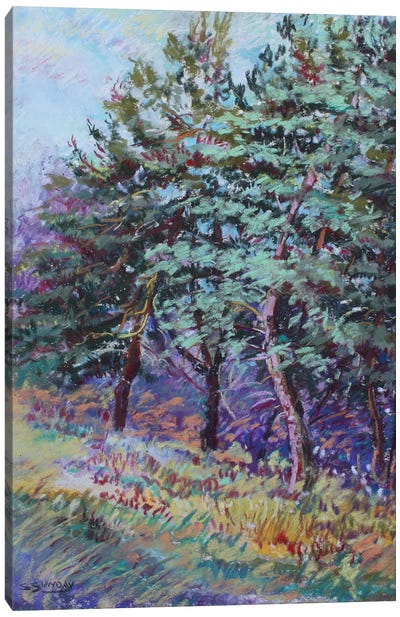 Trees Of Wheaton Rd Canvas Art Print - Sharon Sunday