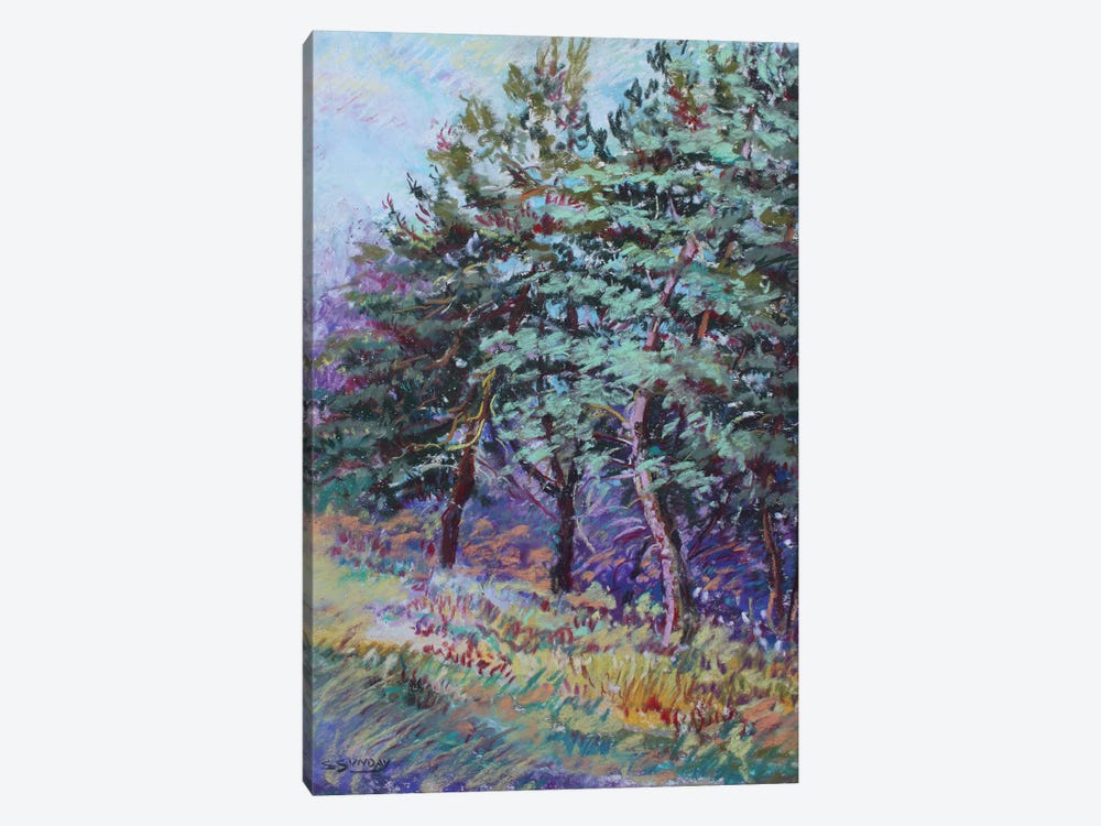 Trees Of Wheaton Rd by Sharon Sunday 1-piece Canvas Print