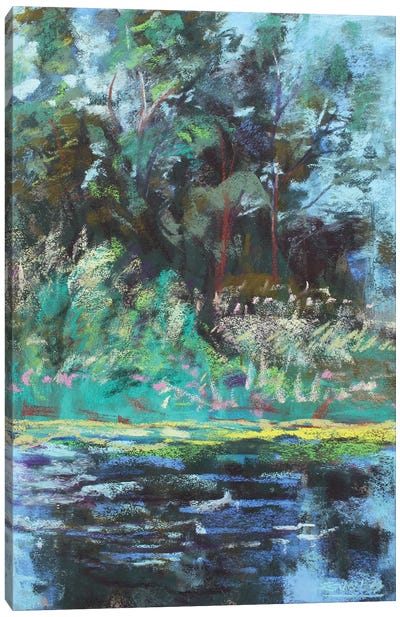 Cascades In Broad Strokes Canvas Art Print - Sharon Sunday