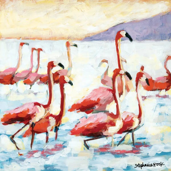 Flamingos: Comfortable Quiet by Stephanie Hock