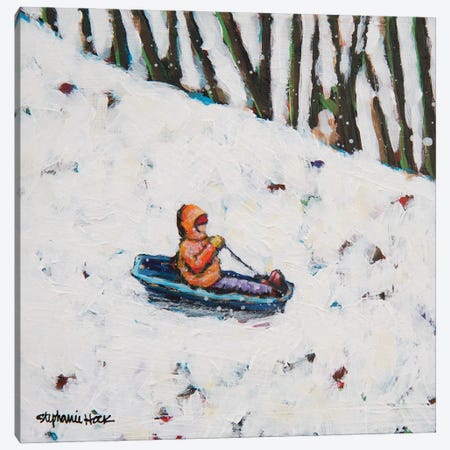 Snow Hill Canvas Print #SEH44} by Stephanie Hock Canvas Wall Art