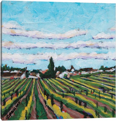 Vineyard Canvas Art Print - Stephanie Hock