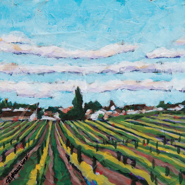 Vineyards: Vineyard by Stephanie Hock