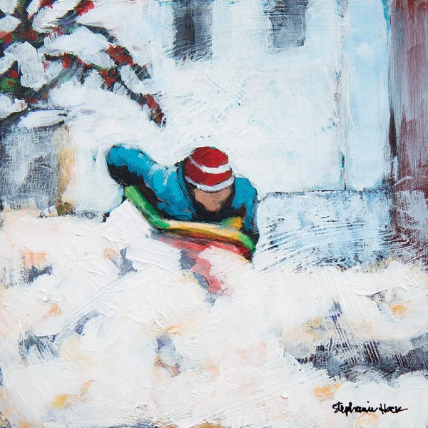 Snow: Face First by Stephanie Hock