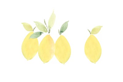 Lemons by Melissa Selmin art print