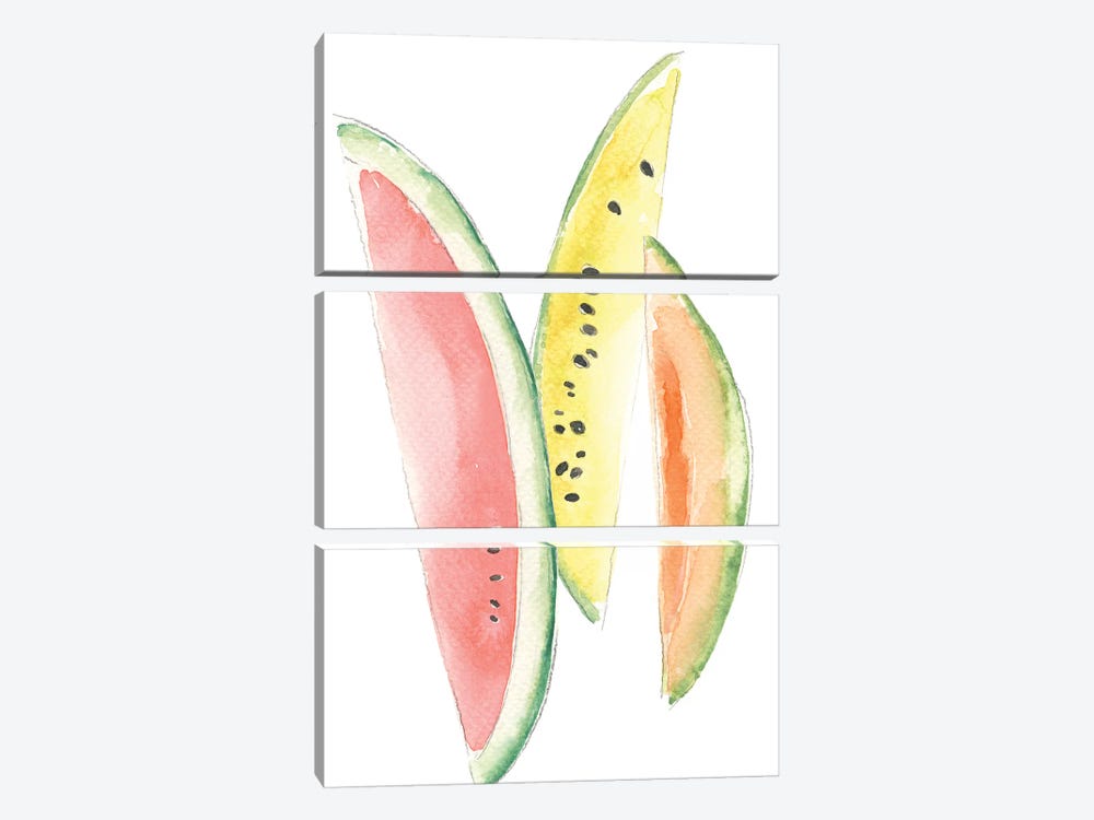 Melon Slices by Melissa Selmin 3-piece Canvas Artwork