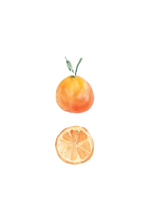 Orange Slice by Melissa Selmin wall art