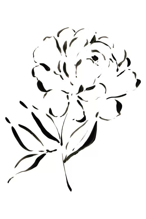Peony Etude by Melissa Selmin wall art