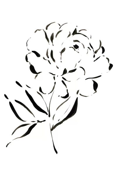 Minimalist Flowers: Peony Etude by Melissa Selmin