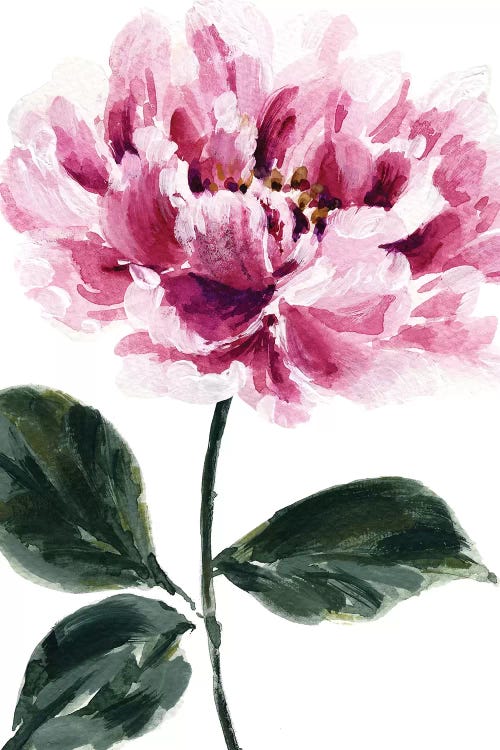 Peony No. 2 by Melissa Selmin wall art