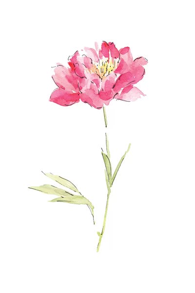 Pink Peony by Melissa Selmin framed canvas print