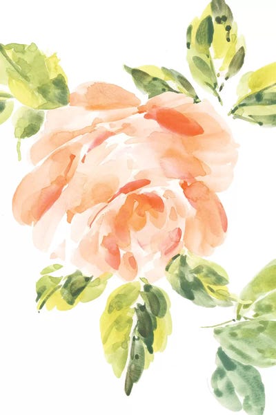 Rosa No. 3 by Melissa Selmin canvas print