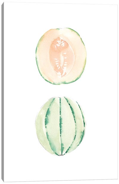 Cantaloupe Slice Canvas Art Print - Melon Art