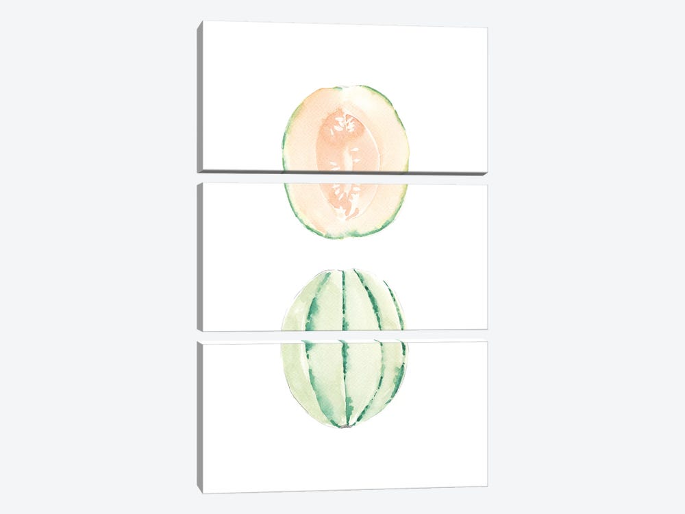 Cantaloupe Slice by Melissa Selmin 3-piece Canvas Print