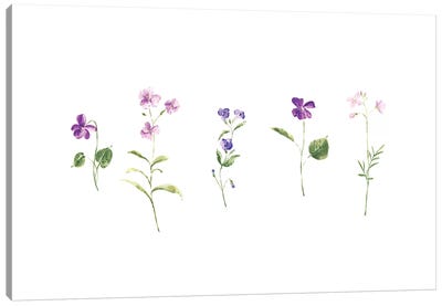 Wildflowers Canvas Art Print - Minimalist Flowers