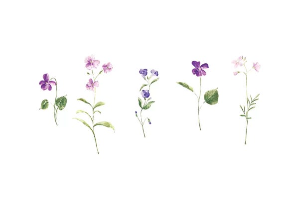 Minimalist Flowers: Wildflowers by Melissa Selmin