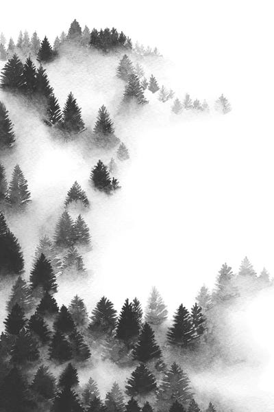 Evergreen Trees: Abundance by Melissa Selmin
