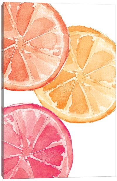 Citrus Slices Canvas Art Print - Melissa Selmin