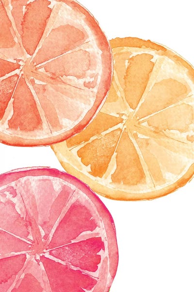 Food & Drink Still Life: Citrus Slices by Melissa Selmin