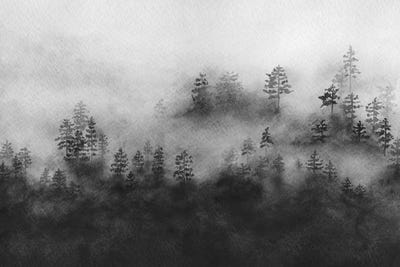 Rising Mist by Melissa Selmin canvas print