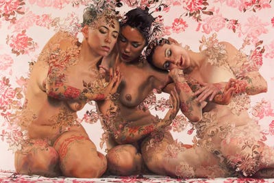 Grace Darlings by Sergio Lopez framed wall art