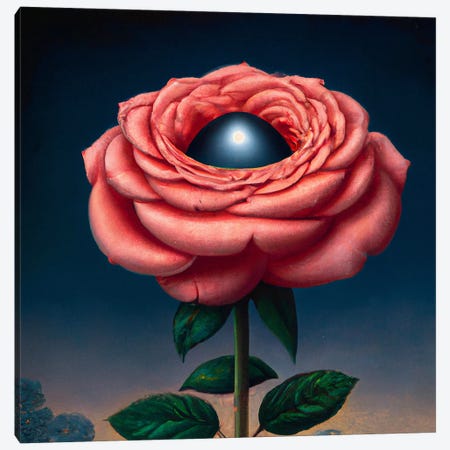 Martian Rose Canvas Print #SEU16} by Surrealistly Canvas Art