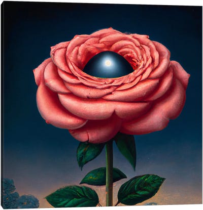 Martian Rose Canvas Art Print - Surrealistly