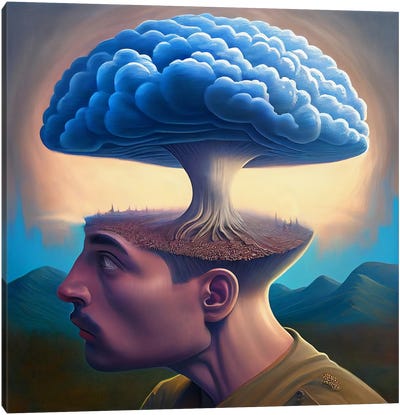 Atomic Mind Canvas Art Print - Head in the Clouds