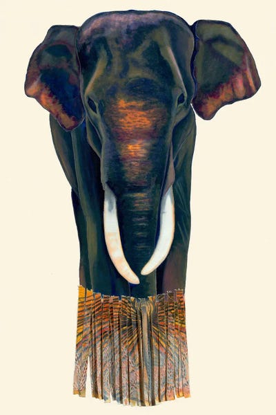 Sumatra Shear by Sara Everett gallery poster