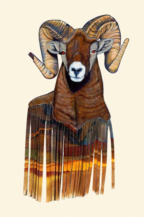 Borrego Backslide by Sara Everett wall art