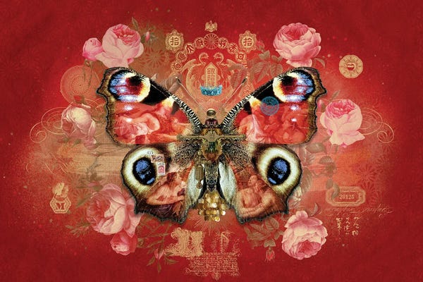 Butterflies and Flowers: Metamorphoses XVI by André Sanchez