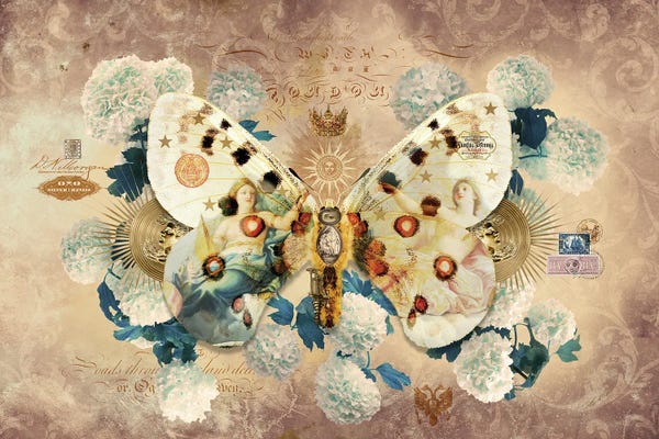 Butterflies and Flowers: Metamorphoses XVIII by André Sanchez