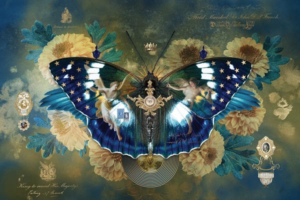 Butterflies and Flowers: Metamorphoses XXI by André Sanchez