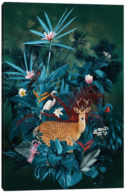 Nanger Jubatus Canvas Art Print - Nature Renewal