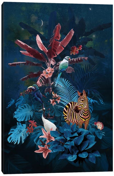 Raznobojna Cebra Canvas Art Print - André Sanchez