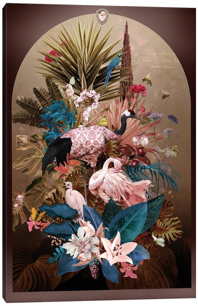 Ciconia Porcellana Canvas Art Print - André Sanchez