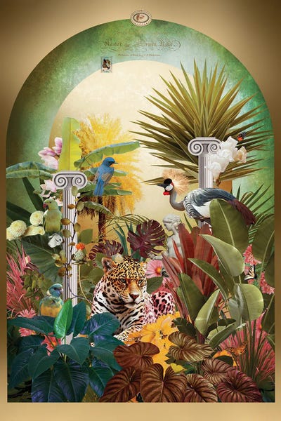 Wild Cats: Hyacintho Luscus IagouáRos by André Sanchez