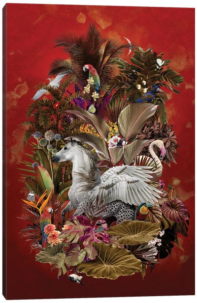 Aerlus Equus Canvas Art Print - Pegasus Art