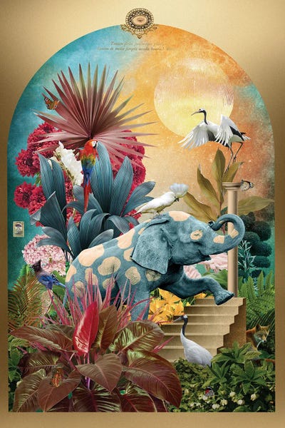 Elephas Macula Alba by André Sanchez metal wall art