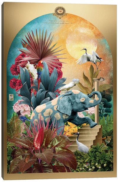Elephas Macula Alba Canvas Art Print - André Sanchez
