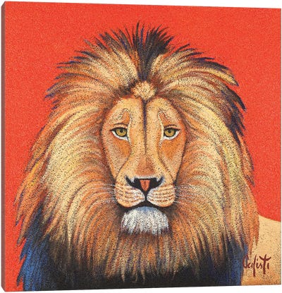 Lion Canvas Art Print - Stefano Calisti