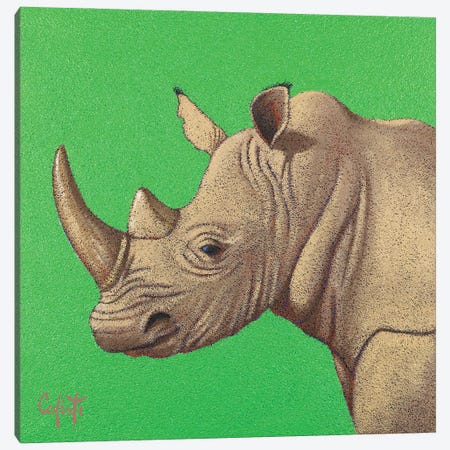 Rhinoceros Canvas Print #SFC25} by Stefano Calisti Art Print