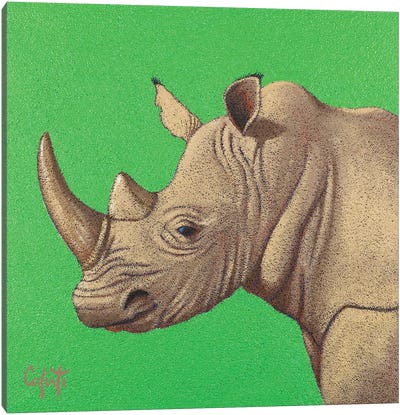 Rhinoceros Canvas Art Print - Stefano Calisti